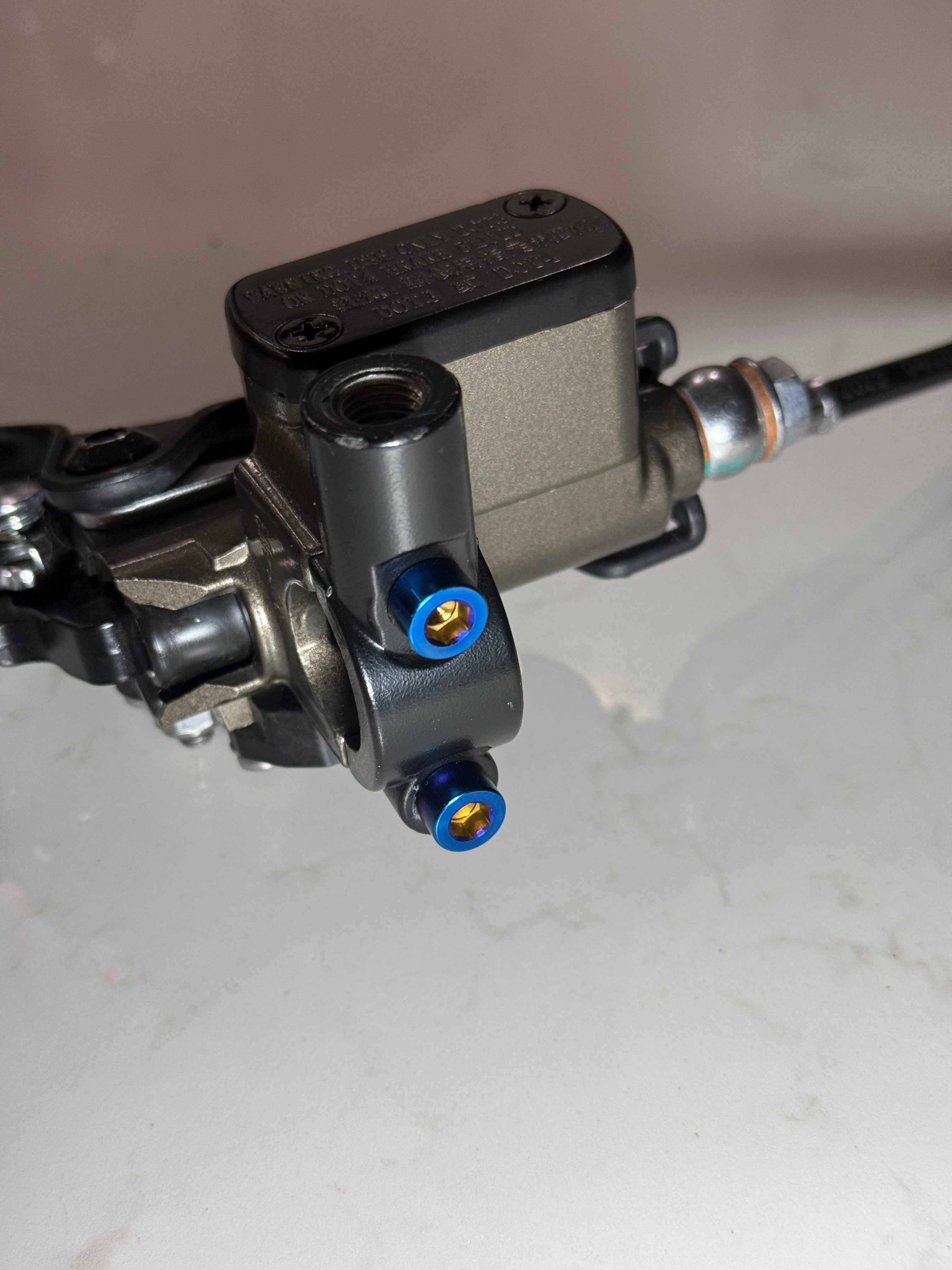 Ultra Bee Brake Titanium Bolts